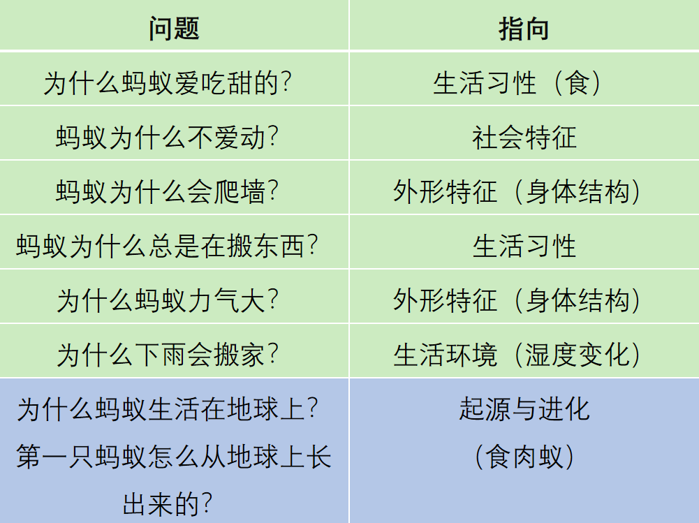 20210113【班级动态】大一班项目课程分享——蚂蚁探秘之旅_html_499460bf.png