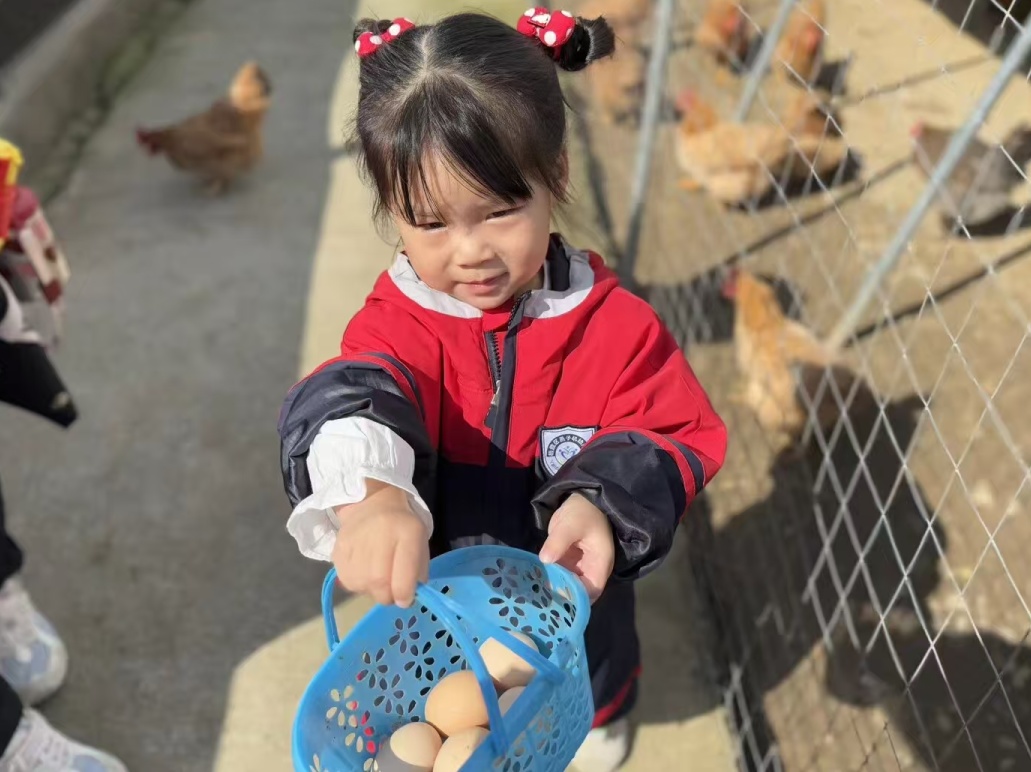 【生活燕幼·园区动态】下庙分园:大手牵小手,一起“趣”秋游——亲子秋游活动_html_1f64f95f.jpg