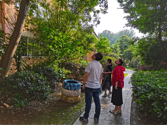 园部动态_html_334117e8.png