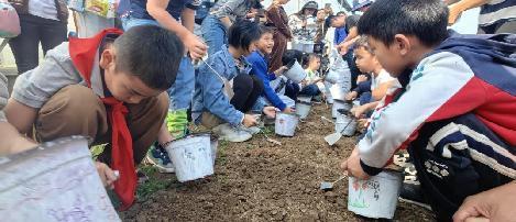 20231015燕子矶幼儿园亲子劳动实践营活动_html_2032732f.jpg
