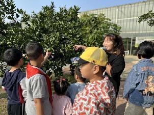 20231015燕子矶幼儿园亲子劳动实践营活动_html_m251ae4cd.jpg