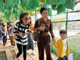 20231015燕子矶幼儿园亲子劳动实践营活动_html_m28fd15fe.jpg
