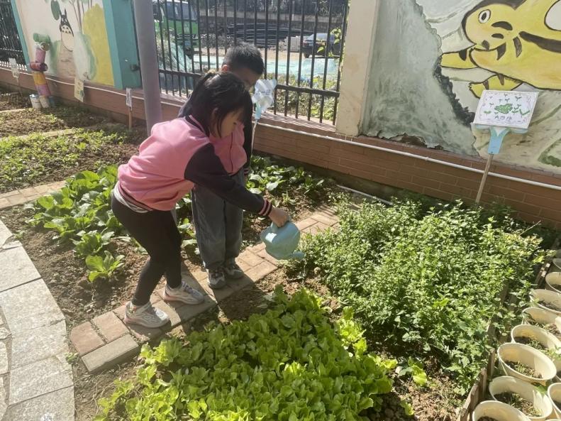 【生活燕幼·园区动态】下庙分园：“时逢霜降至，童趣满深秋”——霜降节气活动_html_819aea2.jpg
