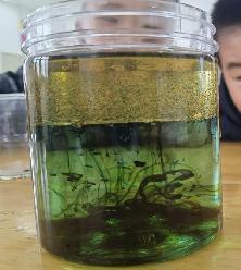 【生活燕幼·园区动态】燕幼中心园雨水时节，润物无声——大一班雨水节气活动_html_m1a70fc55.jpg