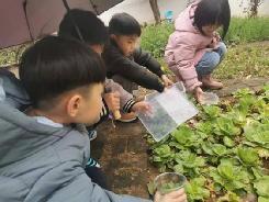 【生活燕幼·园区动态】燕幼中心园雨水时节，润物无声——大一班雨水节气活动_html_ff51be2.jpg