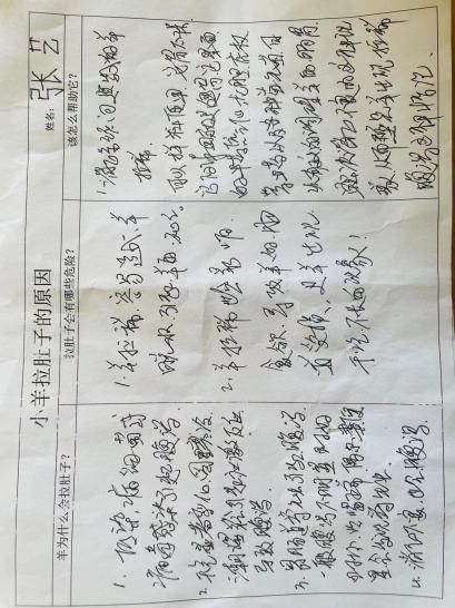 【生活燕幼·园区动态】下庙分园：“解救小羊行动——拉肚子了”——记第五次陶研会_html_e46696a.jpg