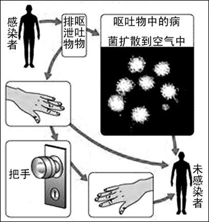 20201211诺如病毒传染病防控_html_m2a49ea2d.png