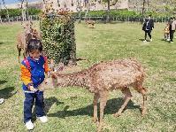 20230407燕幼中心园亲子春游活动_html_3e49768d.jpg