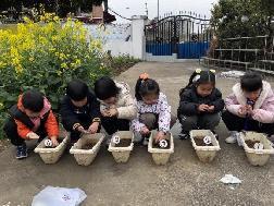 2023.3.24【生活燕幼·园区动态】燕幼中心园：春分时节到，春华春意浓——中一班春分节气活动_html_57265725.jpg