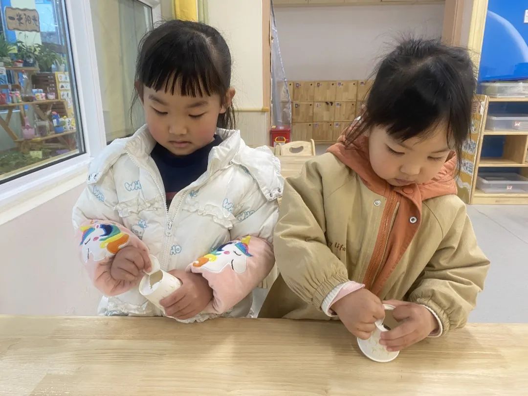 20230328【生活燕幼·园区动态】燕鸣苑分园：趣探惊蛰 万物新生——记小二班惊蛰节气活动_html_56d16541.jpg