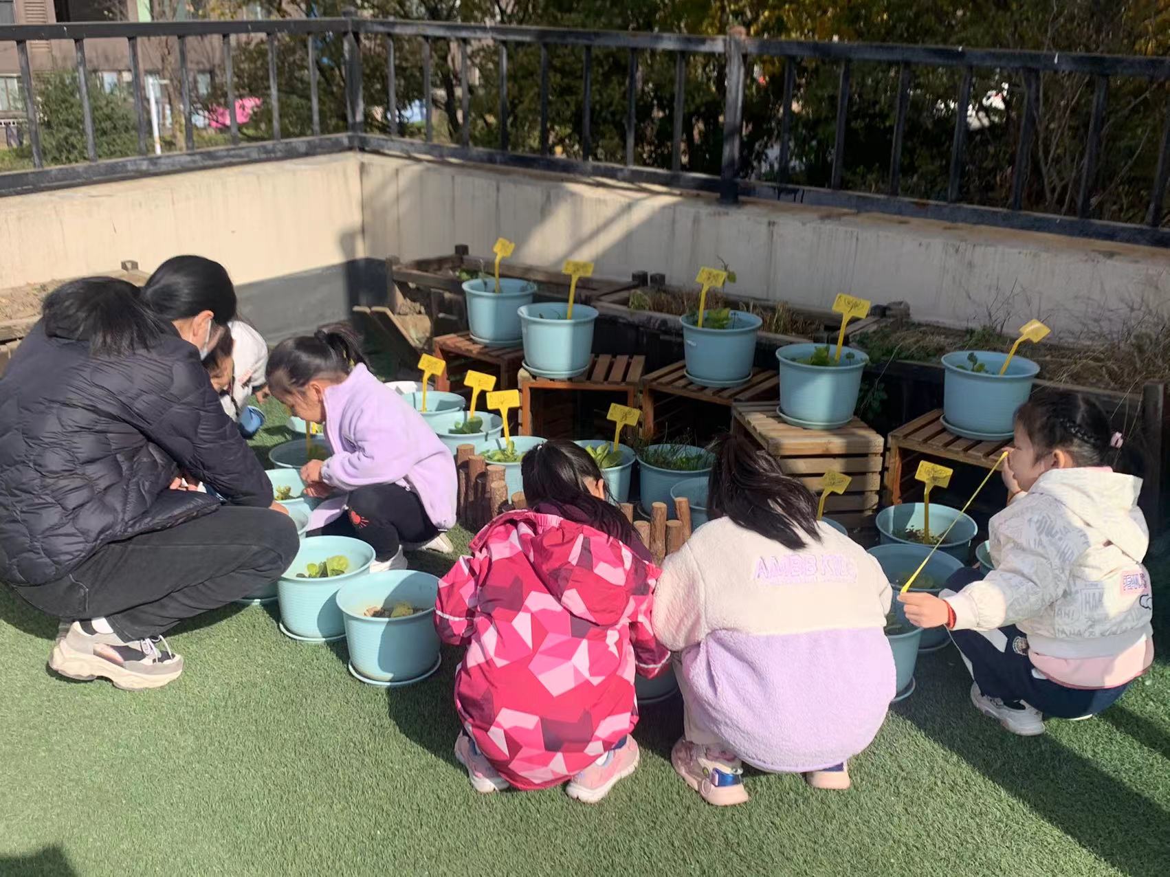 20231208【生活燕幼·年级组动态】下庙分园：“家长乐参与，幼儿趣种植” ——大班种植团活动_html_m284167ed.jpg