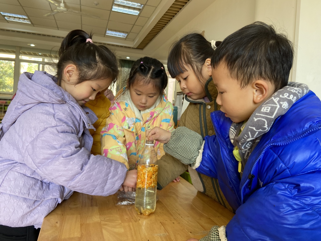20231208【生活燕幼·年级组动态】下庙分园：“家长乐参与，幼儿趣种植” ——大班种植团活动_html_11d87b99.jpg