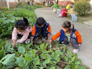 【生活燕幼·园区动态】下庙分园：“大雪至，寒冬始”——大雪节气活动_html_380959e2.jpg