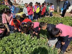 2023.03.09燕幼中心园 大二班 惊蛰节气活动_html_ef94657.jpg