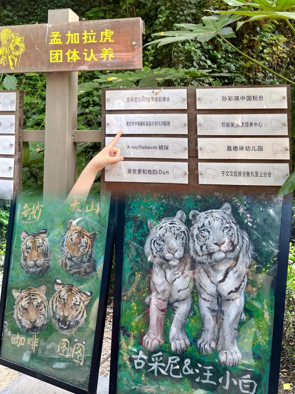 图片14.png