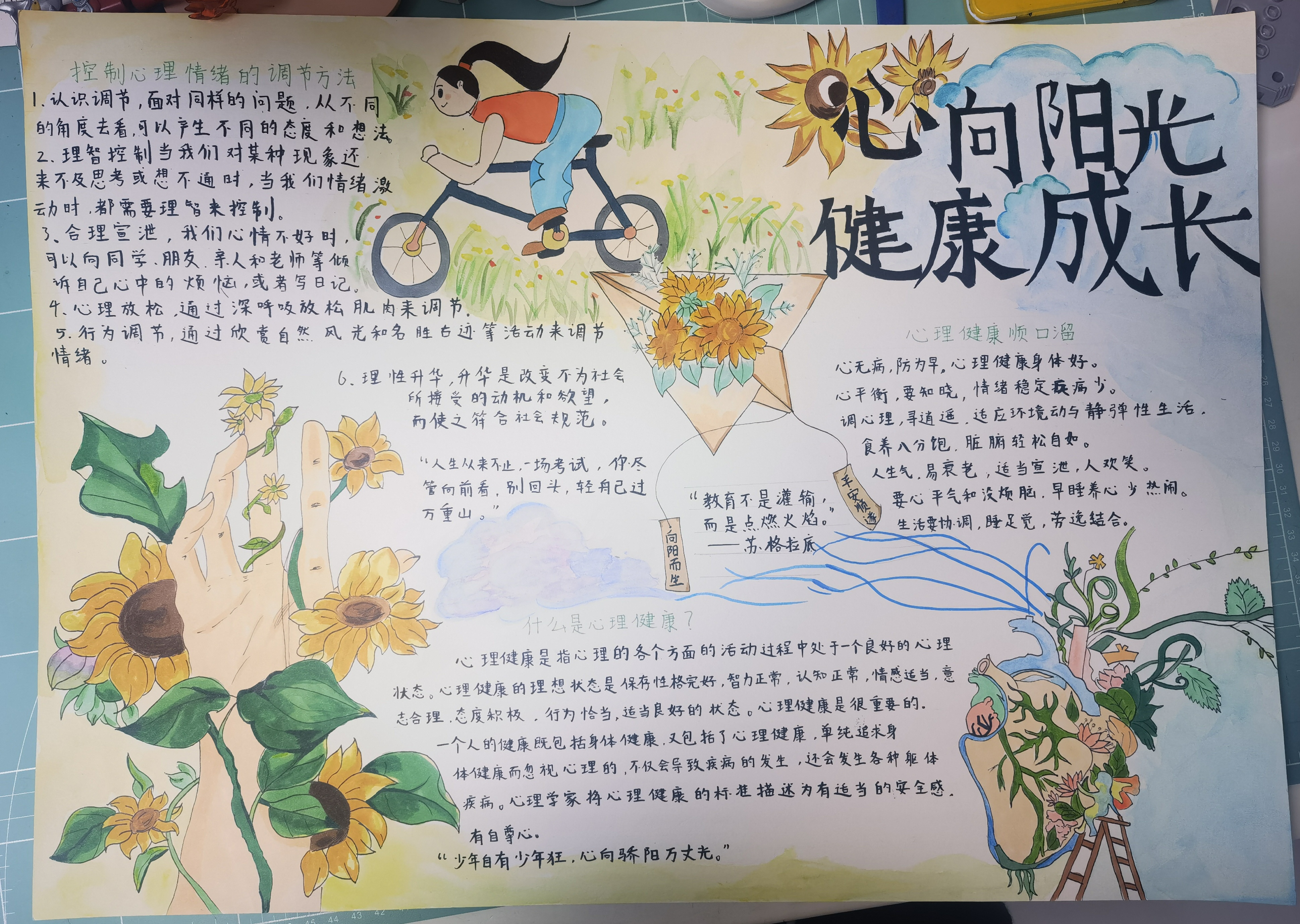 图片13(1).png