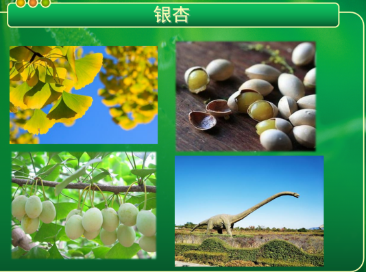 新闻稿_html_m84e97a4.png