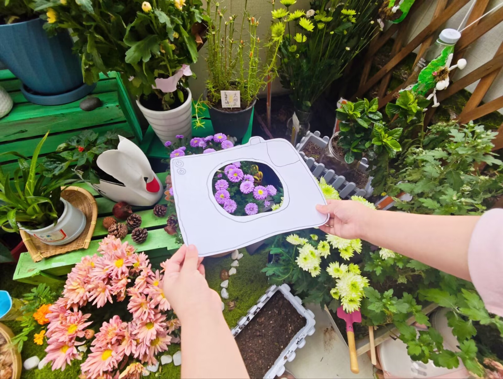 AC897259BF61A228DBE6126B20910A99.jpg AC897259BF61A228DBE6126B20910A99.jpg