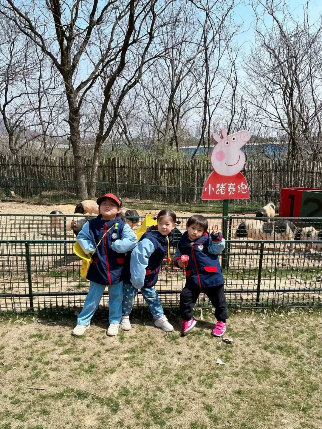临时_html_m14d115f8.jpg