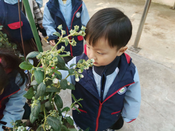 小三1