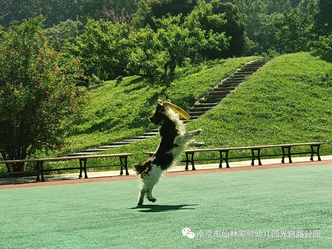 光启_html_1ca22c65.jpg