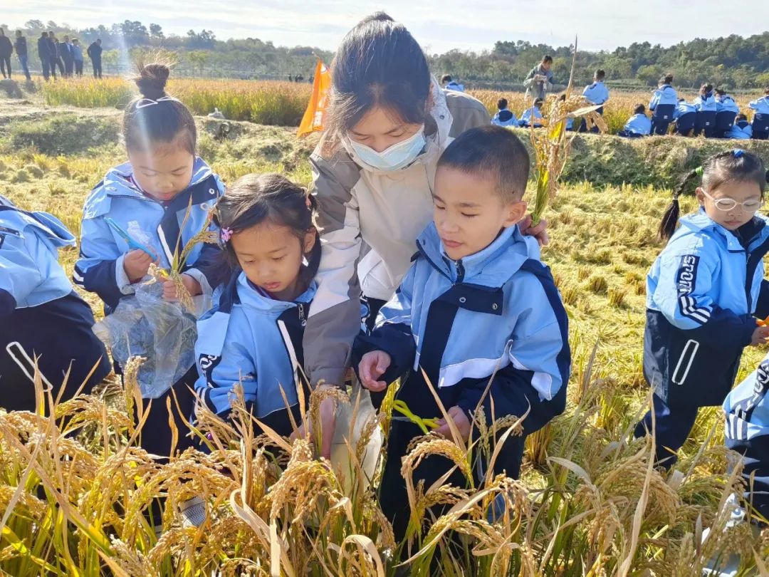 临时_html_mb755467.jpg