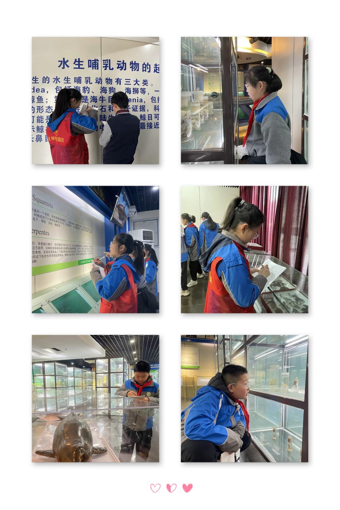 社会实践新闻稿_html_m7f5cf9de.jpg