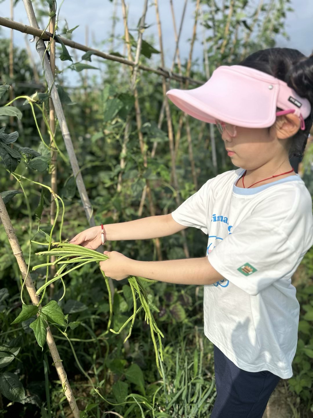 朱  婕-2023.8.28【大爱青秀&middot;少先队】劳动砺心智  实践促成长————记“沉浸式”家庭生活“陪伴”课程之暑期劳动月实践_html_54d44b05.jpg