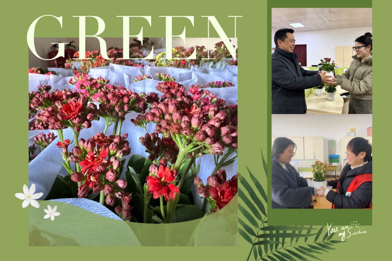 【大爱青秀·心育】赠一抹绿意 许满心欢喜  ----青秀城小学绿植疗愈活动小记