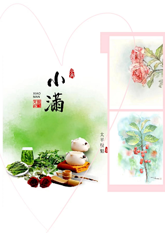 【大爱青秀】校本研修展风采 深耕教学促成长  ——青秀城小学数学校本研修活动