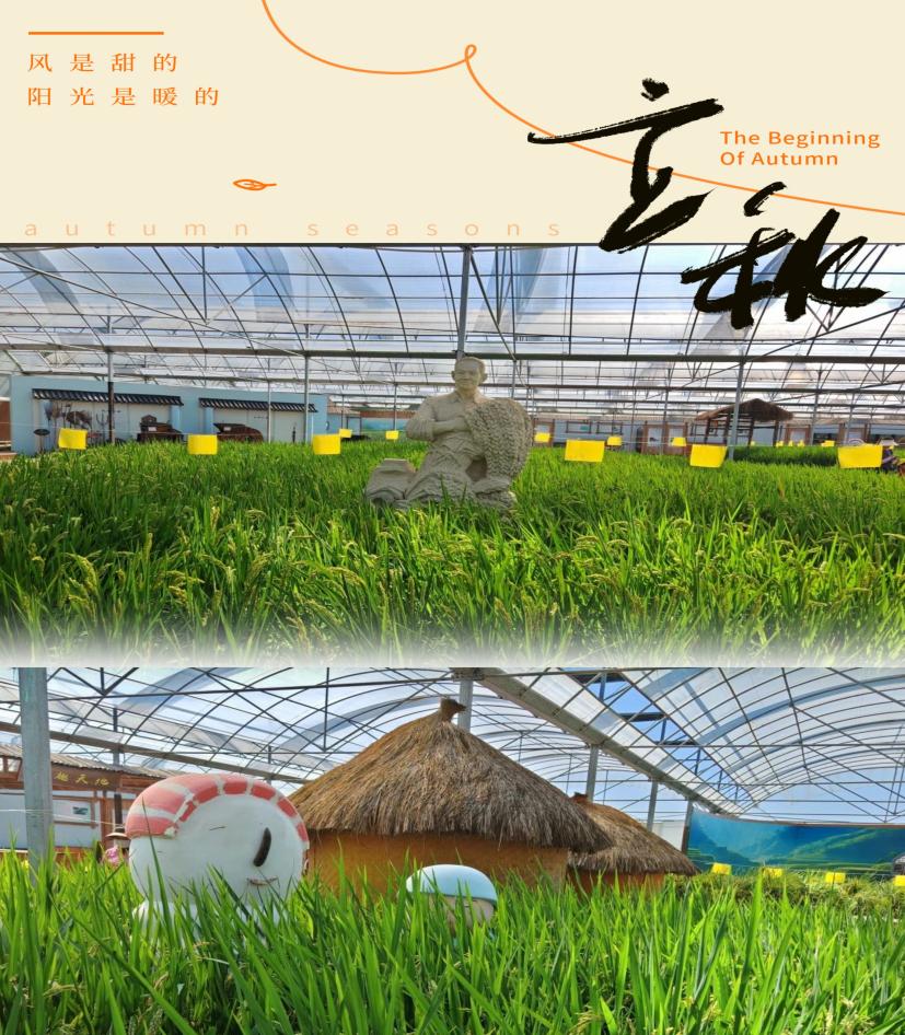 2024.10.15-杨雨馨【大爱青秀德育】秋游陌上花渡：一场农耕文化的奇妙之旅_html_m58e861f1.jpg