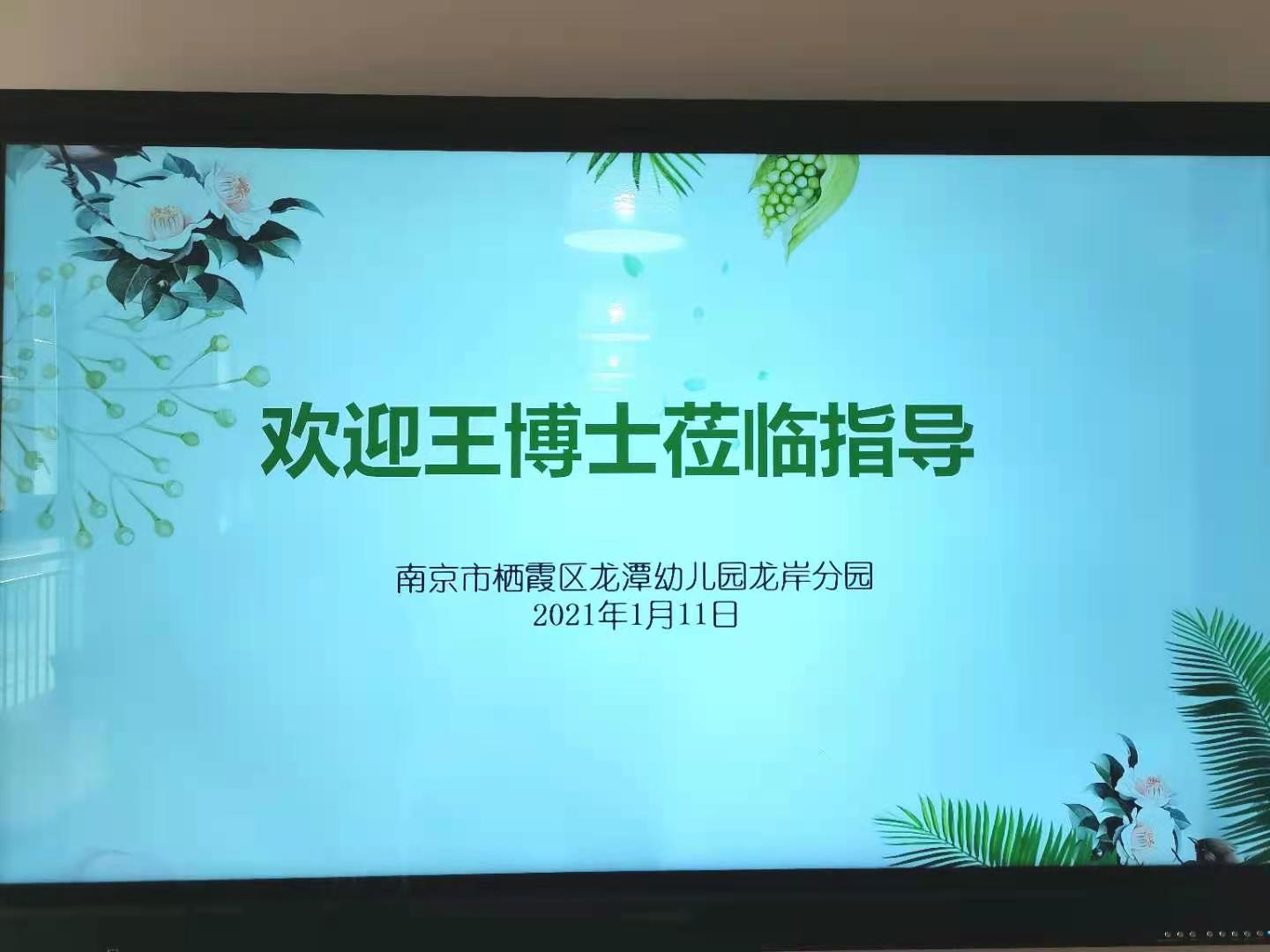 【乐活龙幼】专家引领促发展 精准助力提品质——记南师大王博士到龙潭幼儿园指导活动