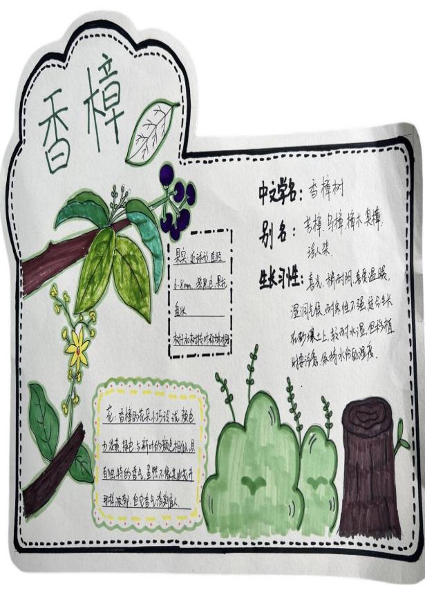 我为班级选班植语文实践活动报道_html_m4053bdaf.jpg
