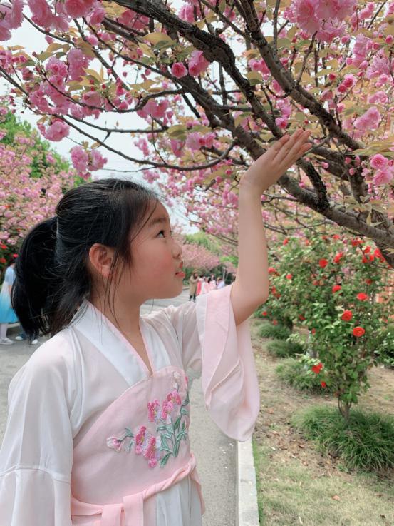 20210407樱花节活动报道_html_m21cb90aa.jpg