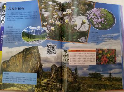 南湾营小学图书馆2021年4月好书推荐_html_6fc0692d.jpg