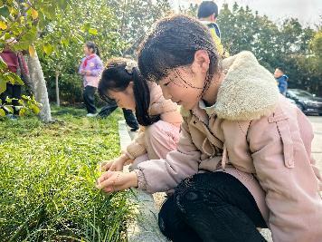 20250312植树节活动_html_m72907302.jpg