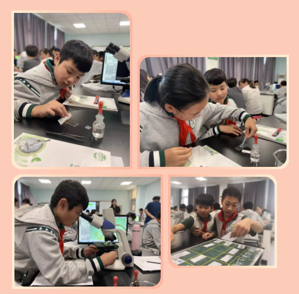 图片6.png