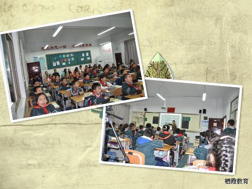 入格”进行时——中电颐和家园小学语文校本教研活动小记 