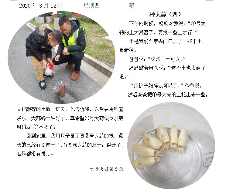 战“疫”助力学--童学小课堂，“蒜”你最厉害_html_m2f93cc9e.png