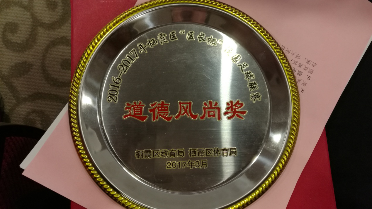 南京一中马群分校【荣誉奖项】_html_m1d65a5f.png