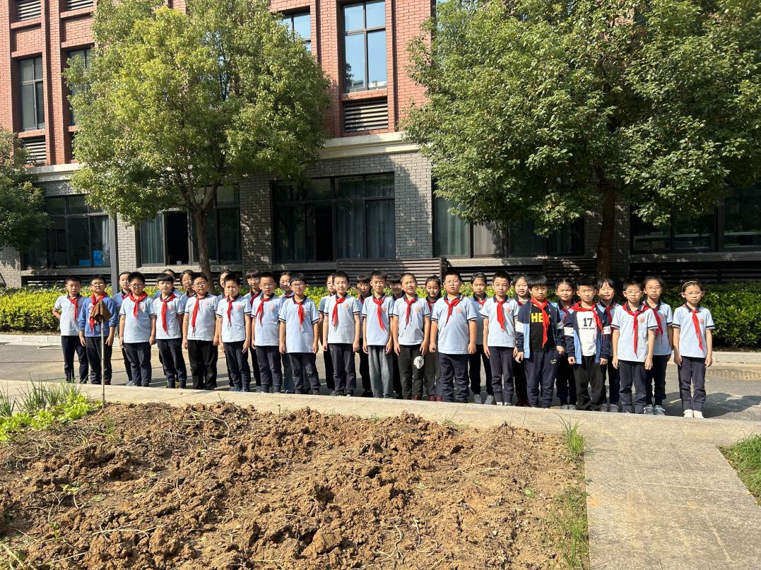 【知行晓庄】【陶娃爱劳动】劳动出真知 实践促成长——晓庄小学四（1）中队挖红薯活动小记
