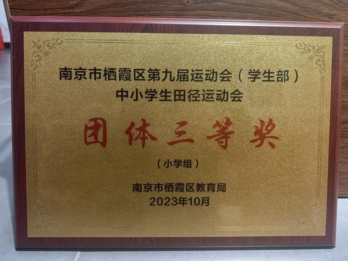 20240707南京市晓庄 小学2023-2024学年体育工作喜获佳绩(2)(1)_html_ea3e21d.jpg