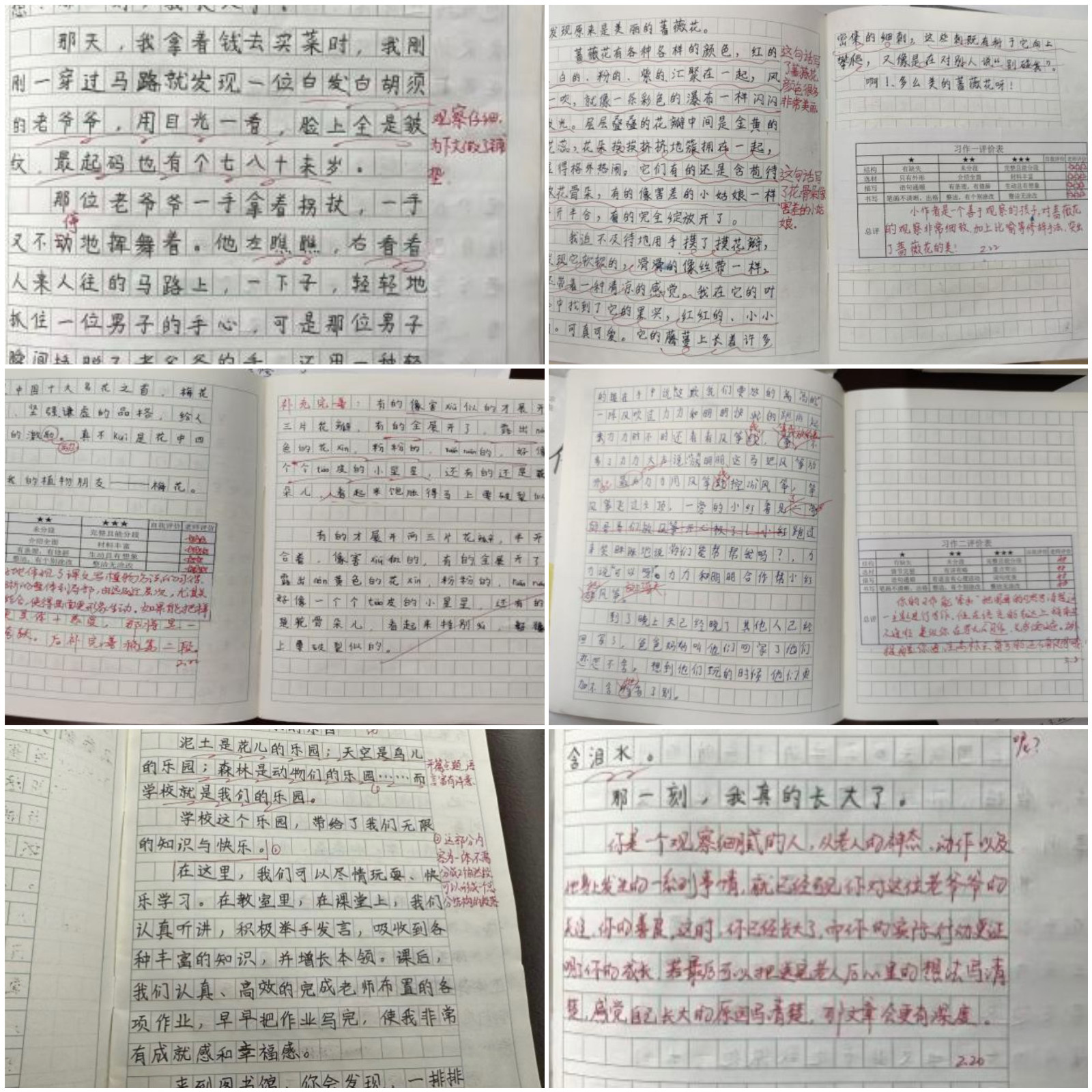 图片3.jpg