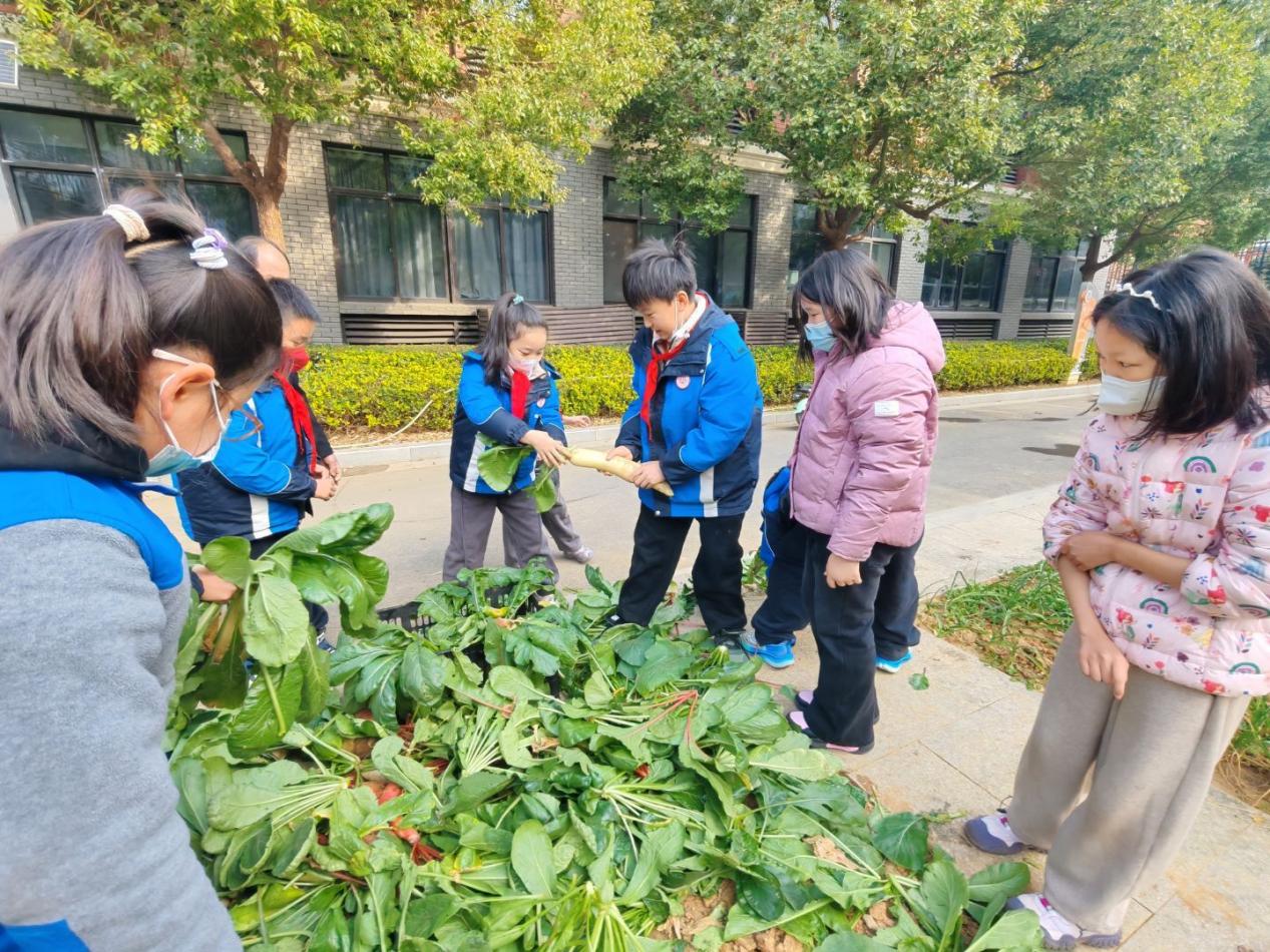 四年级5班拔萝卜劳动课堂新闻稿 _html_m8dcea00.jpg