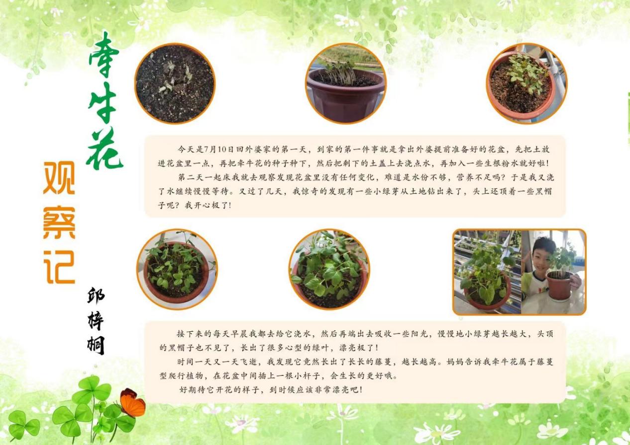 一五“种子” 长程作业(1)_html_714e0c86.jpg