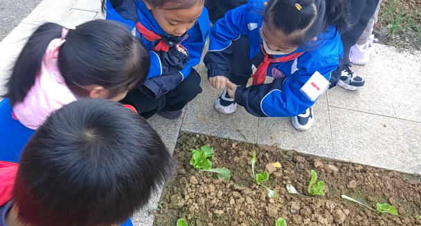 【知行晓庄】利用校内特色场馆 提升综合科学素养——南京市晓庄小学（行知校区）科学组校本研修活动（三）