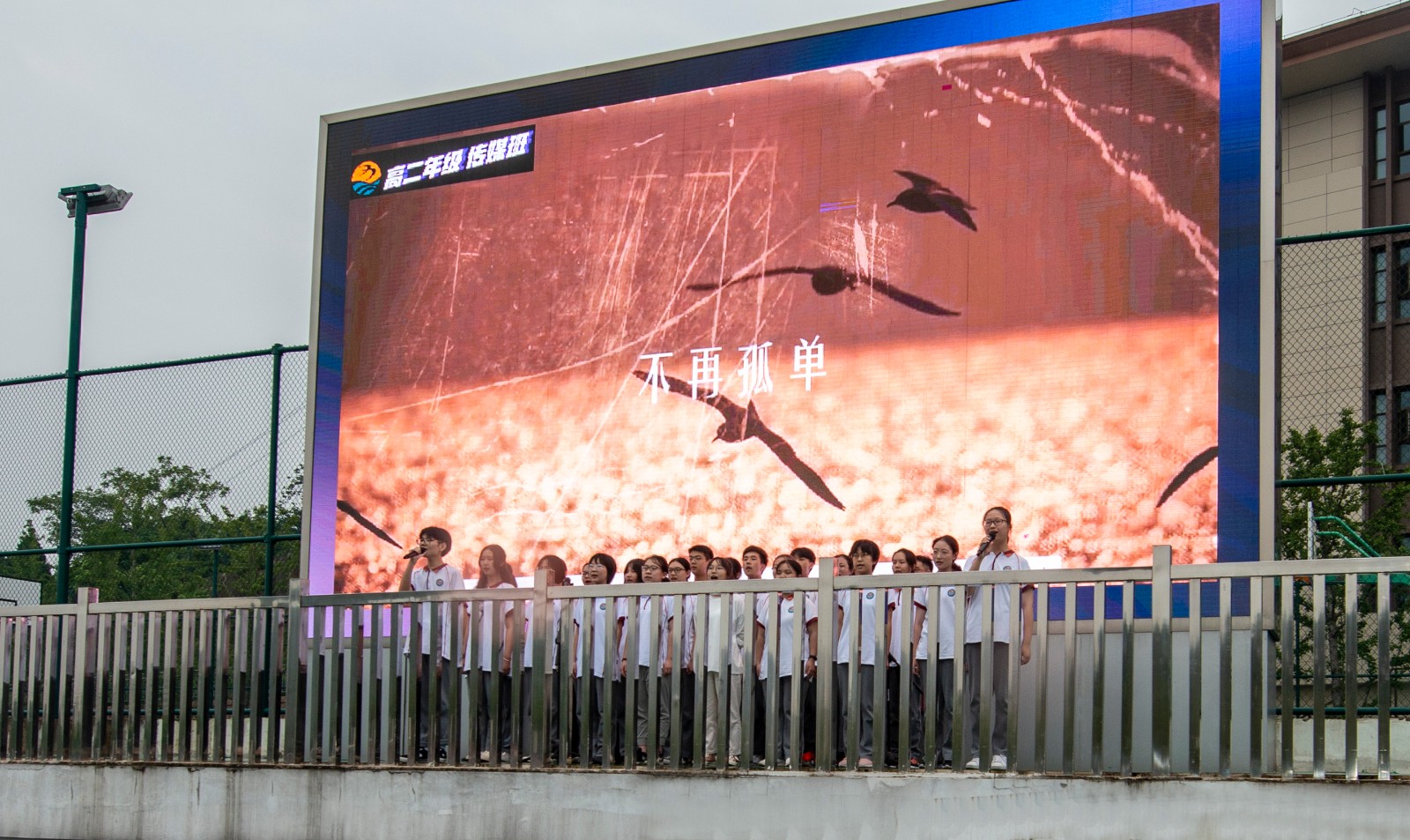 DSC_4852.jpg DSC_4852.jpg