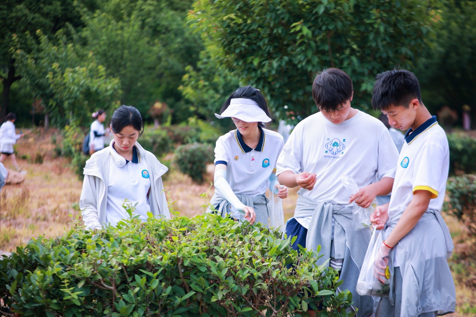 微信图片_202406121354252.jpg 微信图片_202406121354252.jpg