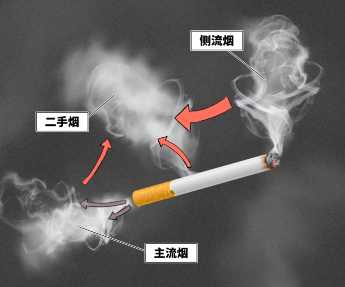 5月31日世界无烟日_html_3258c1aa.png