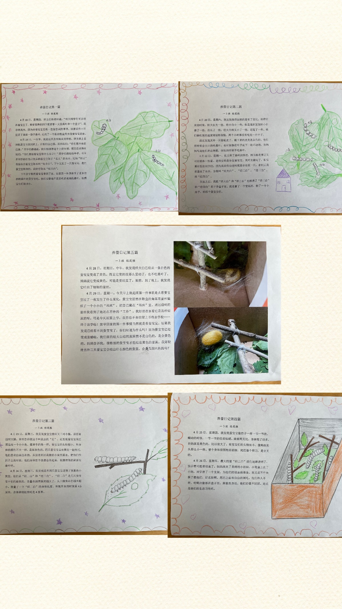 养蚕记(1)_html_m2eadc166.jpg
